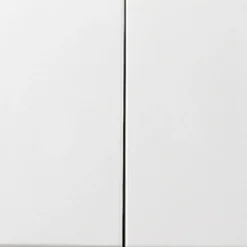 Gira F100 Dubbel vippa Kritvit Blank