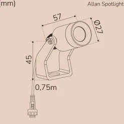 Llitt Allan Spotlight Single