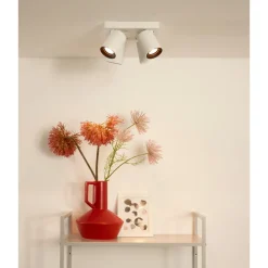 Lucide Nigel 4L Takspotlight GU10