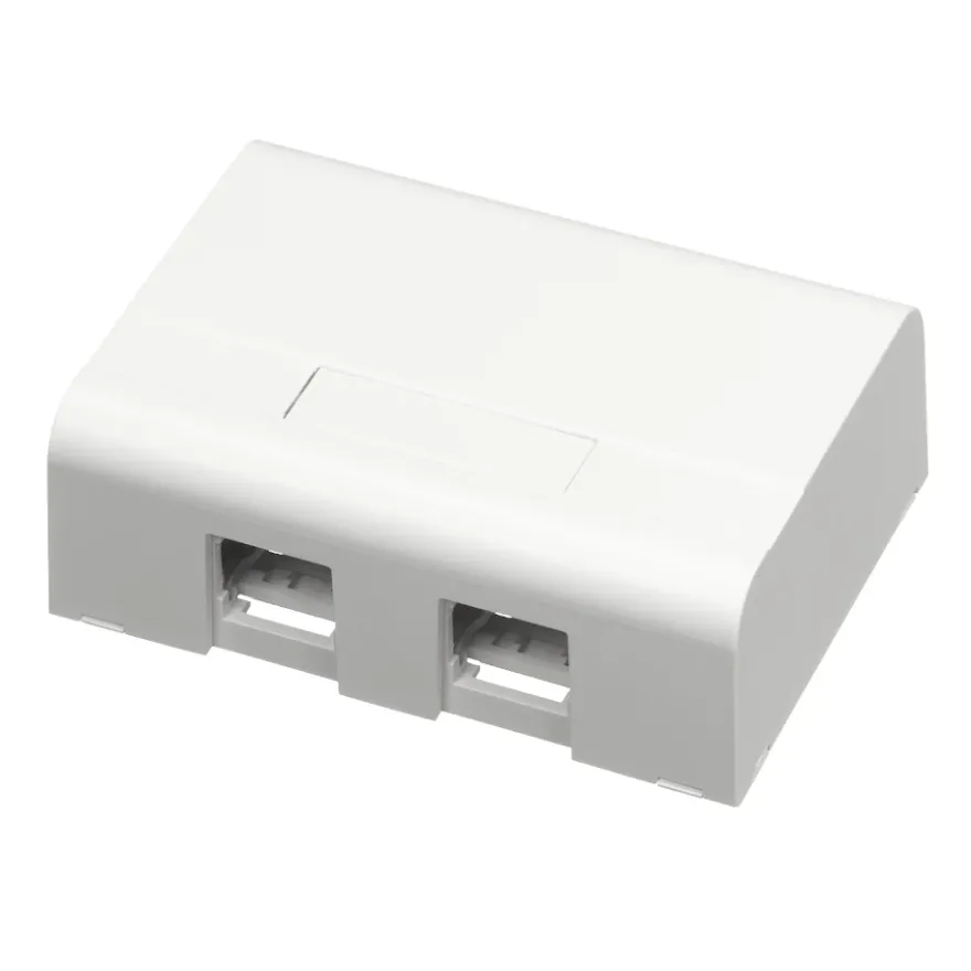 Schneider Actassi S-One Montagebox 2xRJ45