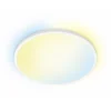 WiZ SuperSlim Ceiling 22W RD 27-65K TW